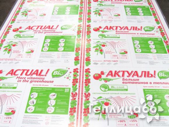 Поликарбонат сотовый 4мм Actual BIO прозрачный 2,1х6м