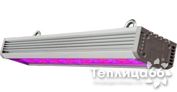 Фитосветильник ДСП 04-80-002 FitoLED Profi 80