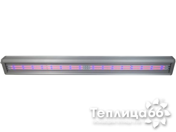 Фитосветильник ДСП 04-210-002 FitoLED Profi 210