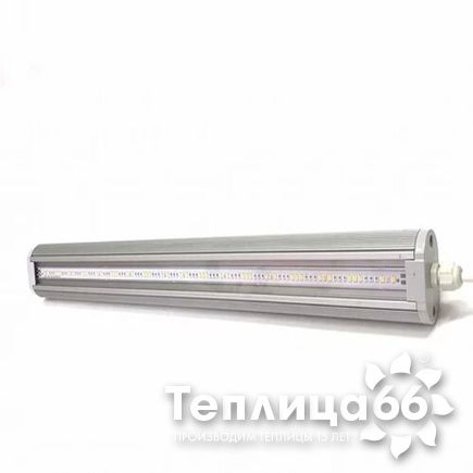Фитосветильник ДСП 02-69-002 FitoLED 69 Orange