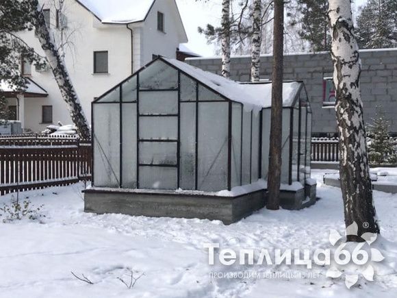 Теплица botanik T с мини-тамбуром под стекло (14 м²)