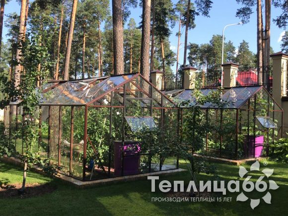 Теплица botanik standard под стекло, ширина 2,8 м