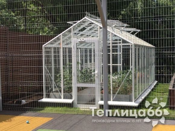 Теплица botanik standard под стекло, ширина 2,8 м