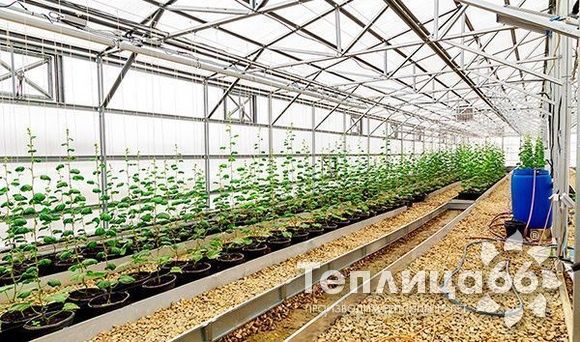 Теплица Фермер-11,5м