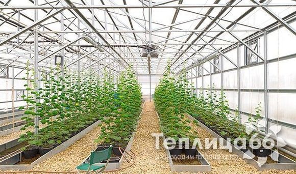 Теплица Фермер-11,5м