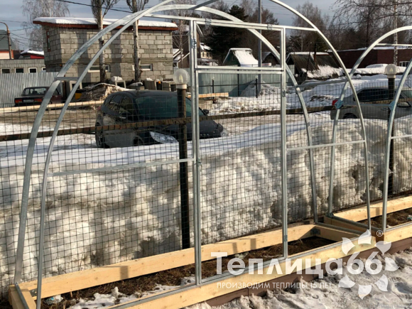 Теплица Рада Рижская усиленная из поликарбоната шириной 3 метра (шаг 0,65м)