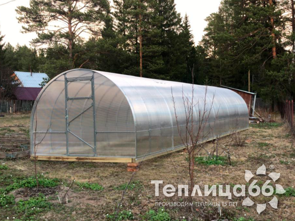 Теплица Рада 3М из поликарбоната, ширина 3 м