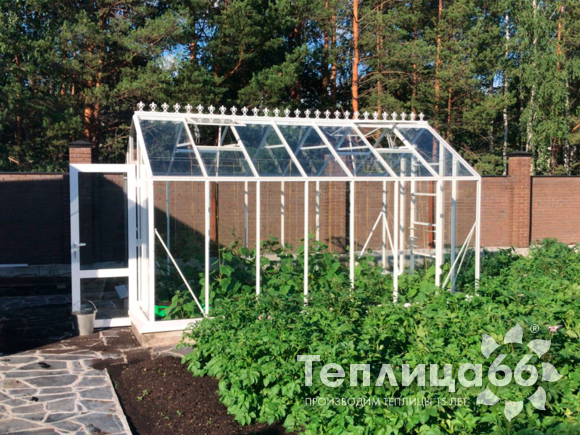 Теплица botanik standard под стекло, ширина 2,8 м