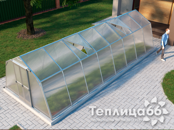 Теплица Мята под поликарбонат, 3x8 метра
