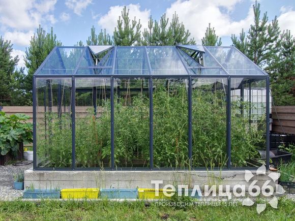 Теплица Рада Гарденикс 3 С (под стекло), ширина 3 м