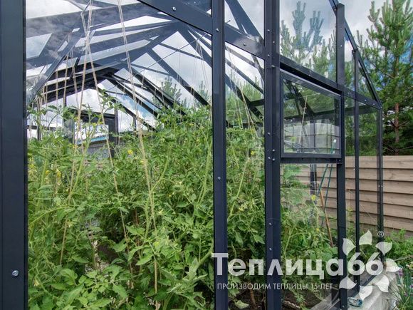 Теплица Рада Гарденикс 3 С (под стекло), ширина 3 м